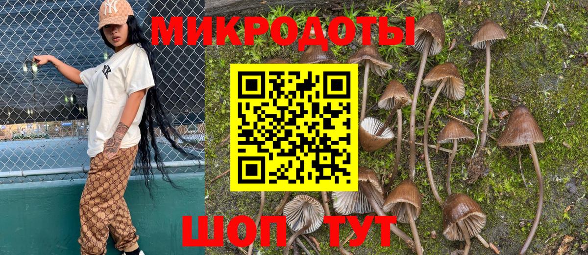 Псилоцибиновые грибы прущие грибы Ишим