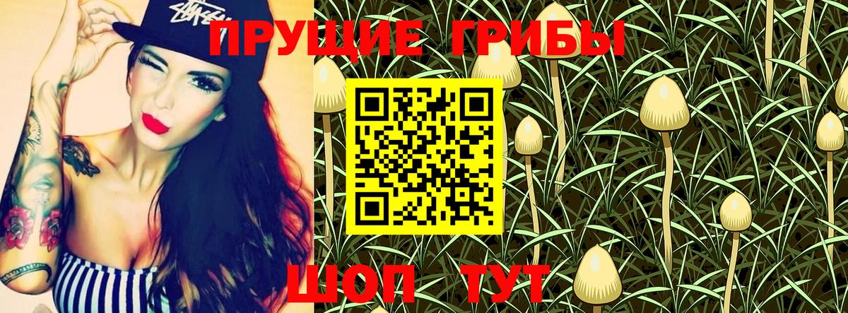 купить  цена  Псилоцибиновые грибы Psilocybine cubensis  Вход с VPN  Ишим 