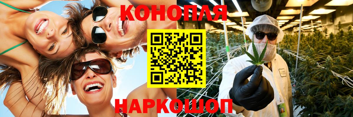 Бошки Шишки план  Марихуана сатива  Ишим  Вход с VPN 